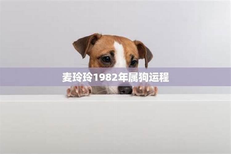 狗11月份运程怎么样？