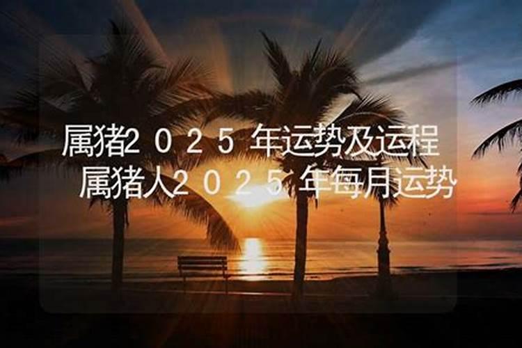 属猪人士2025年运程