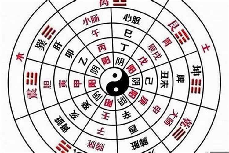 怎么算八字是阴是阳？