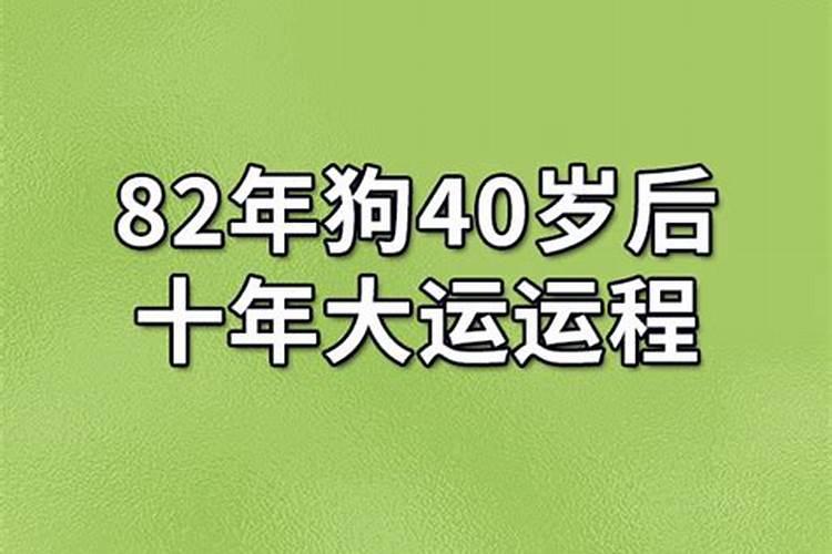 82年出生一生感情运势如何？